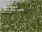 Bulk Herbs by the Half Ounce (.5 oz) - Skullcap Herb - Herbs & Accessories