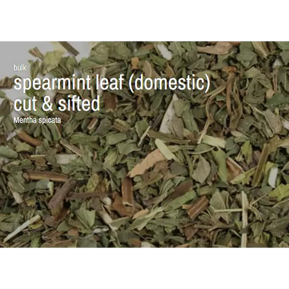 Bulk Herbs by the Half Ounce (.5 oz) - Spearmint - Herbs & Accessories