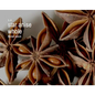 Bulk Herbs by the Half Ounce (.5 oz) - Star Anise - Herbs & Accessories
