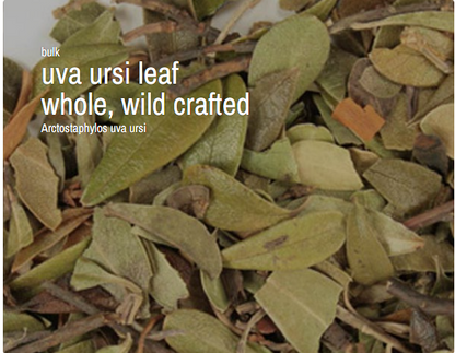 Bulk Herbs by the Half Ounce (.5 oz) - Uva Ursi leaf, whole, wild crafted - Herbs & Accessories