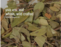 Bulk Herbs by the Half Ounce (.5 oz) - Uva Ursi leaf, whole, wild crafted - Herbs & Accessories