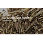 Bulk Herbs by the Half Ounce (.5 oz) - Vervain - Herbs & Accessories