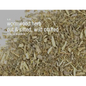 Bulk Herbs by the Half Ounce (.5 oz) - Wormwood - Herbs & Accessories