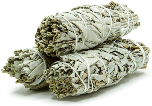 California White Sage - 4’’ Smudge Stick - Incense & Burners