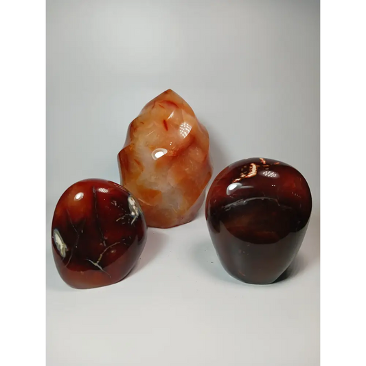 🔥✨ Carnelian Freeform – Motivation and Creative Energy ✨🔥 PALM