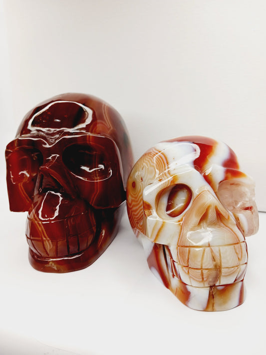 Carnelian skull with vibrant orange-red hues and natural banding, carved and displayed on a white background.