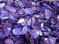 Charoite TUMBLE - Tumbles