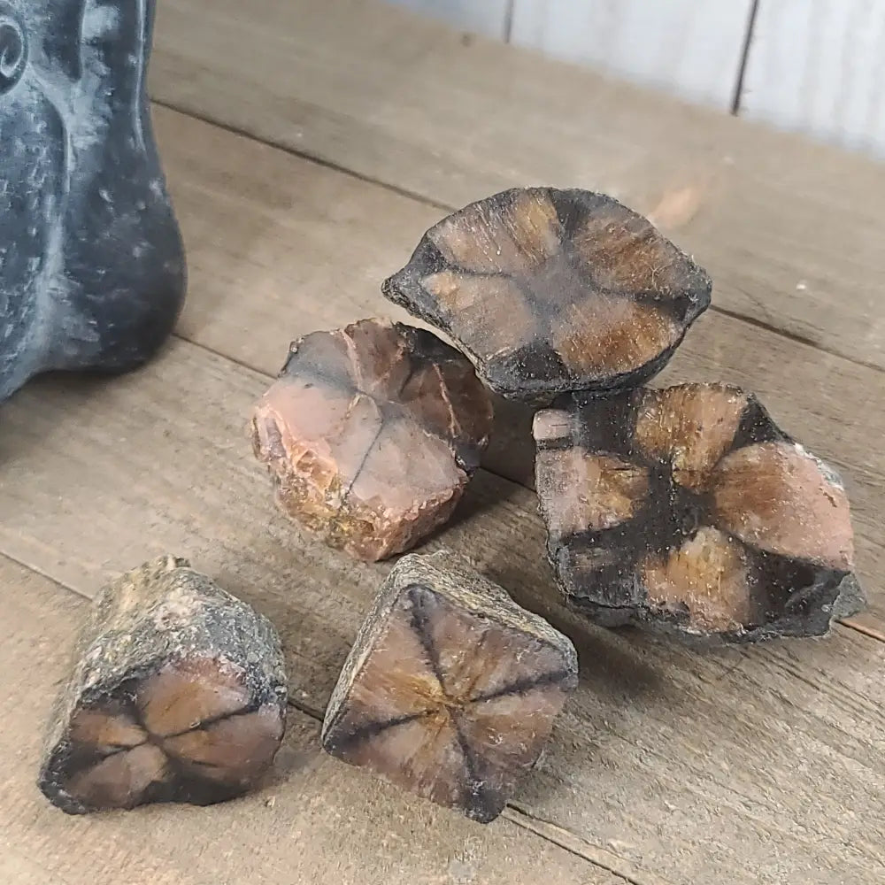 Polished Chiastolite Cross Stone featuring a distinct, naturally formed cross pattern, displayed on a white background.