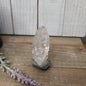🔮✨ Columbian AAA Grade Lemurian Seed Crystals (2.5’’–3’’) – Ancient Wisdom High Vibration and Soul Connection! 🌟 - 12
