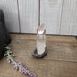 🔮✨ Columbian AAA Grade Lemurian Seed Crystals (2.5’’–3’’) – Ancient Wisdom High Vibration and Soul Connection! 🌟 - 6