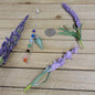 CONE PENDULUM W/CHAKRA CHAIN - GREEN AVENTURINE - Pendulums & Mats