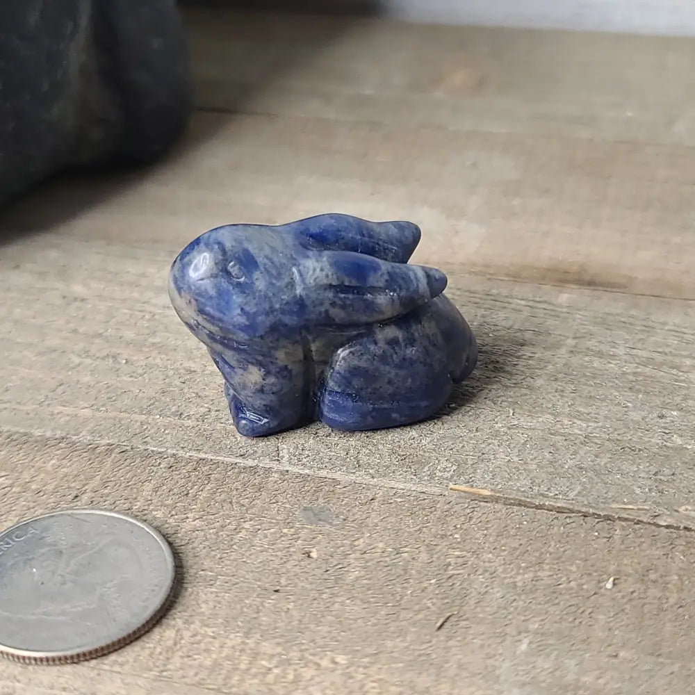 Crystal Rabbit - Sodalite - Carvings