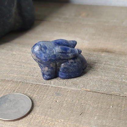 Crystal Rabbit - Sodalite - Carvings
