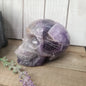 Dream Amethyst Skulls - 5 - Carvings