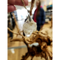 🤍✨ Elegant Connection: Faden Quartz Specimen Necklace Pendant – Clarity Healing & Spiritual Bond! 🌟 - 18 - Jewelry