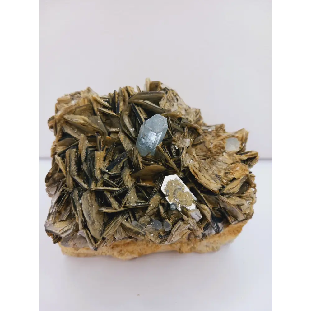 Muscovite with aquamarine specimen, showcasing shimmering layers and blue crystal accents, displayed on a white background.