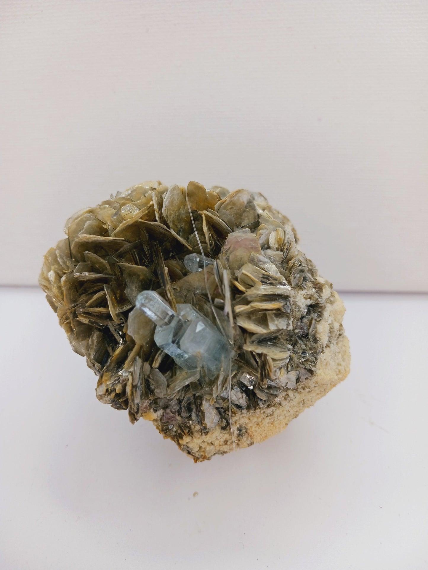 Muscovite with aquamarine specimen, showcasing shimmering layers and blue crystal accents, displayed on a white background.