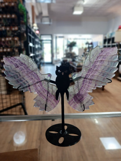 🦉💎 Fluorite Owl with Stand – Wisdom Clarity and Majestic Energy! ✨ - Fluorite Owl w/ Stand- BIG - Carvings