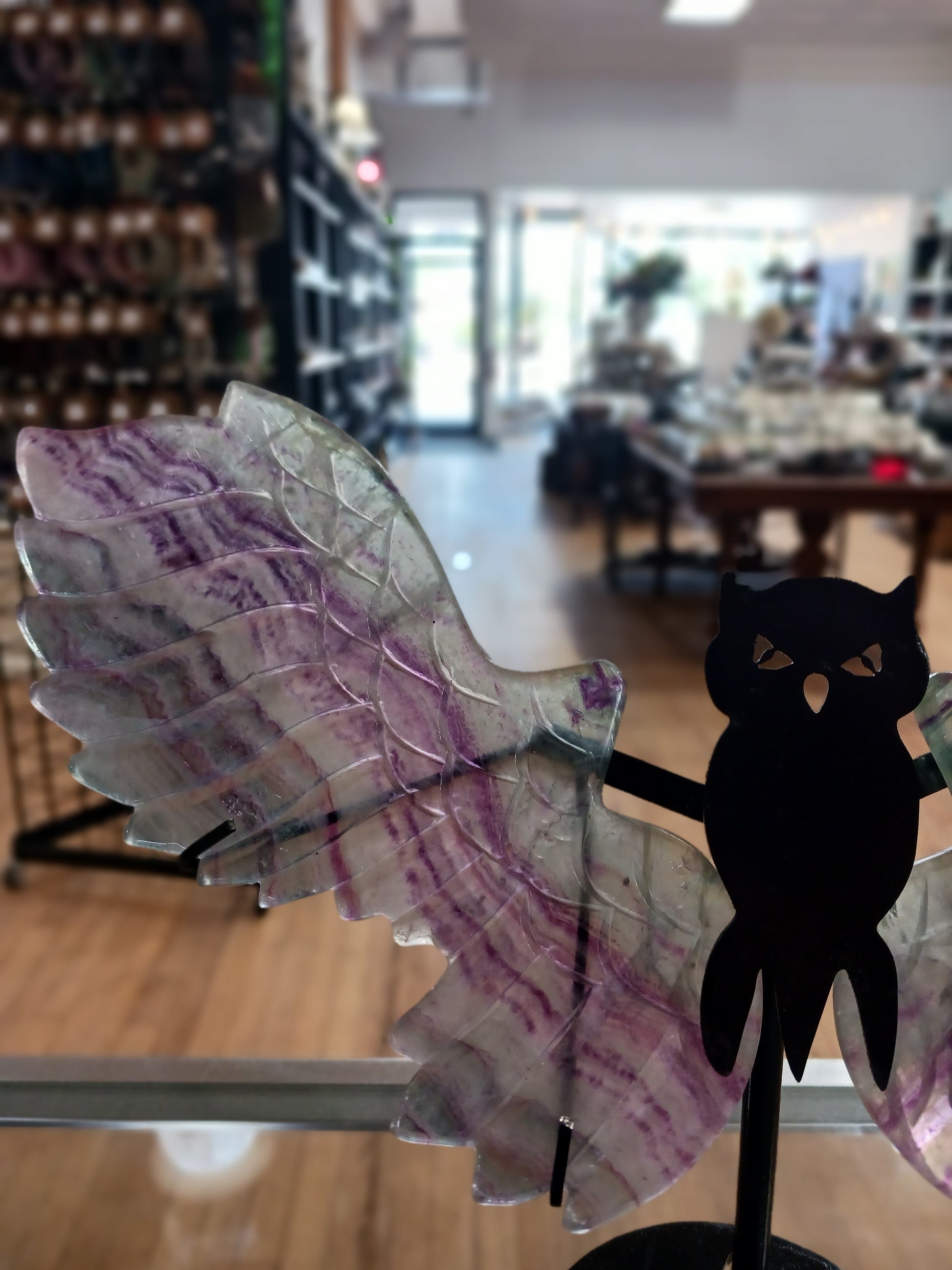 🦉💎 Fluorite Owl with Stand – Wisdom Clarity and Majestic Energy! ✨ - Fluorite Owl w/ Stand- BIG - Carvings