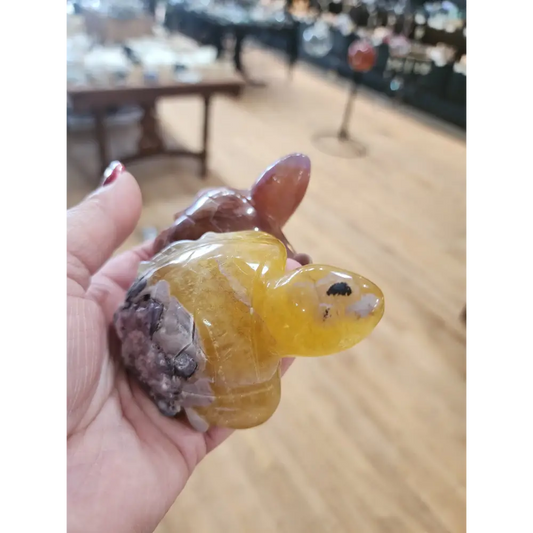 🐢 Fluorite Turtle Carvings 🐢 - Large