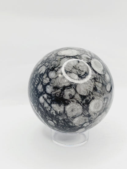 🌿🦴 Fossil Agate Sphere (2.5’’–3’’) – Ancient Wisdom Grounding Energy and Natural Beauty! ✨ - 1