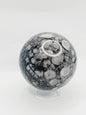 🌿🦴 Fossil Agate Sphere (2.5’’–3’’) – Ancient Wisdom Grounding Energy and Natural Beauty! ✨ - 1