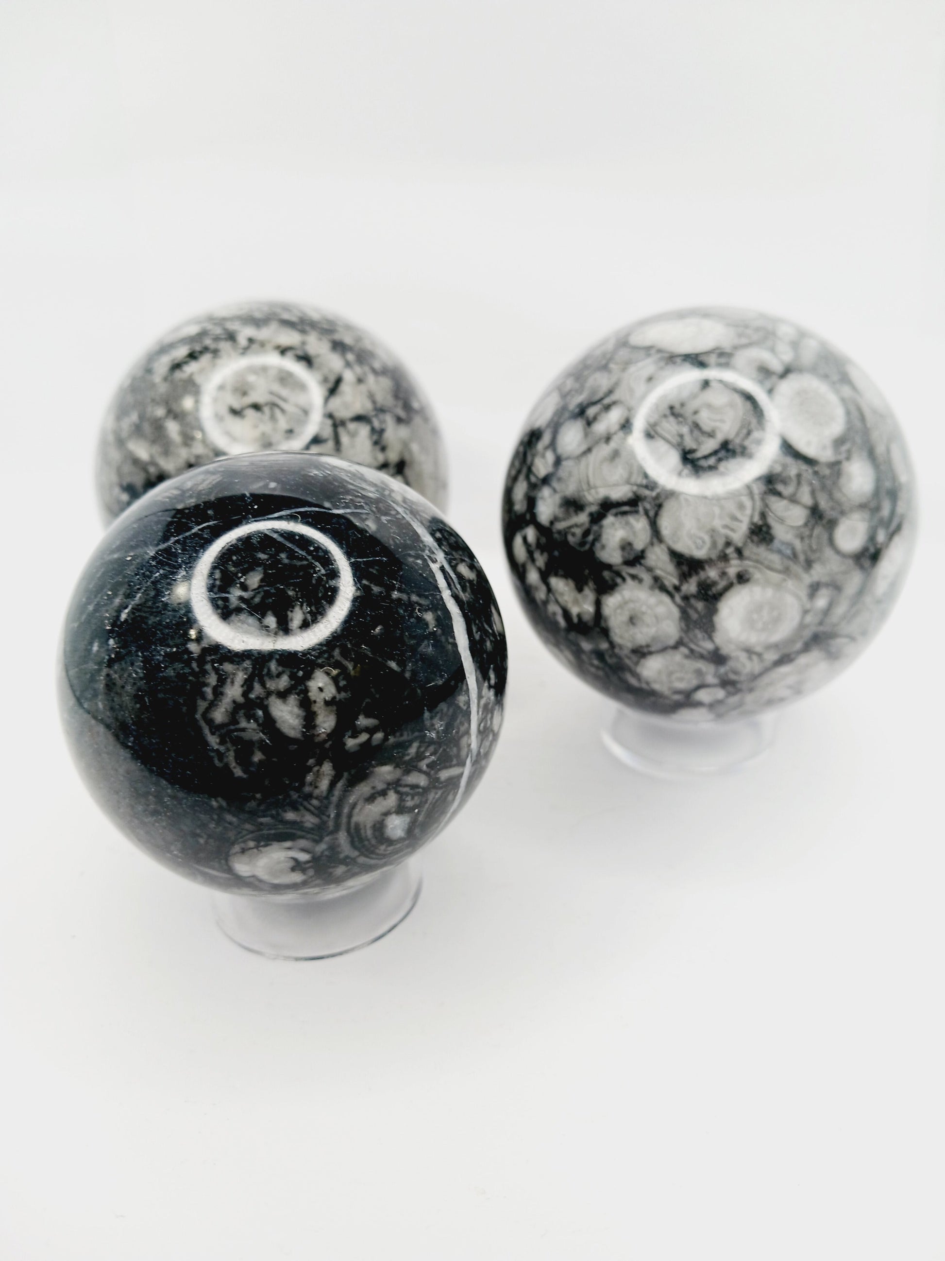 🌿🦴 Fossil Agate Sphere (2.5’’–3’’) – Ancient Wisdom Grounding Energy and Natural Beauty! ✨
