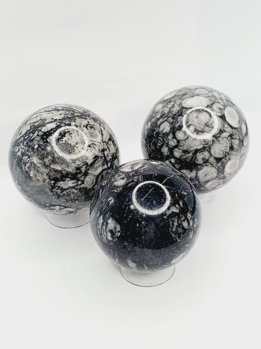 🌿🦴 Fossil Agate Sphere (2.5’’–3’’) – Ancient Wisdom Grounding Energy and Natural Beauty! ✨