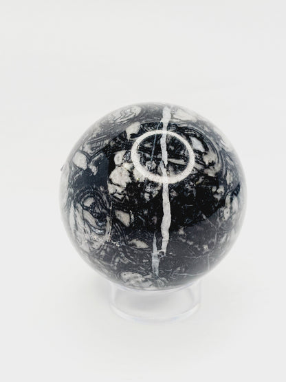 🌿🦴 Fossil Agate Sphere (2.5’’–3’’) – Ancient Wisdom Grounding Energy and Natural Beauty! ✨ - 3