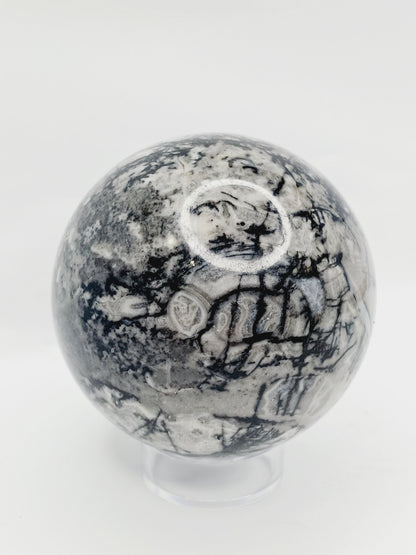 🌿🦴 Fossil Agate Sphere (2.5’’–3’’) – Ancient Wisdom Grounding Energy and Natural Beauty! ✨ - 2