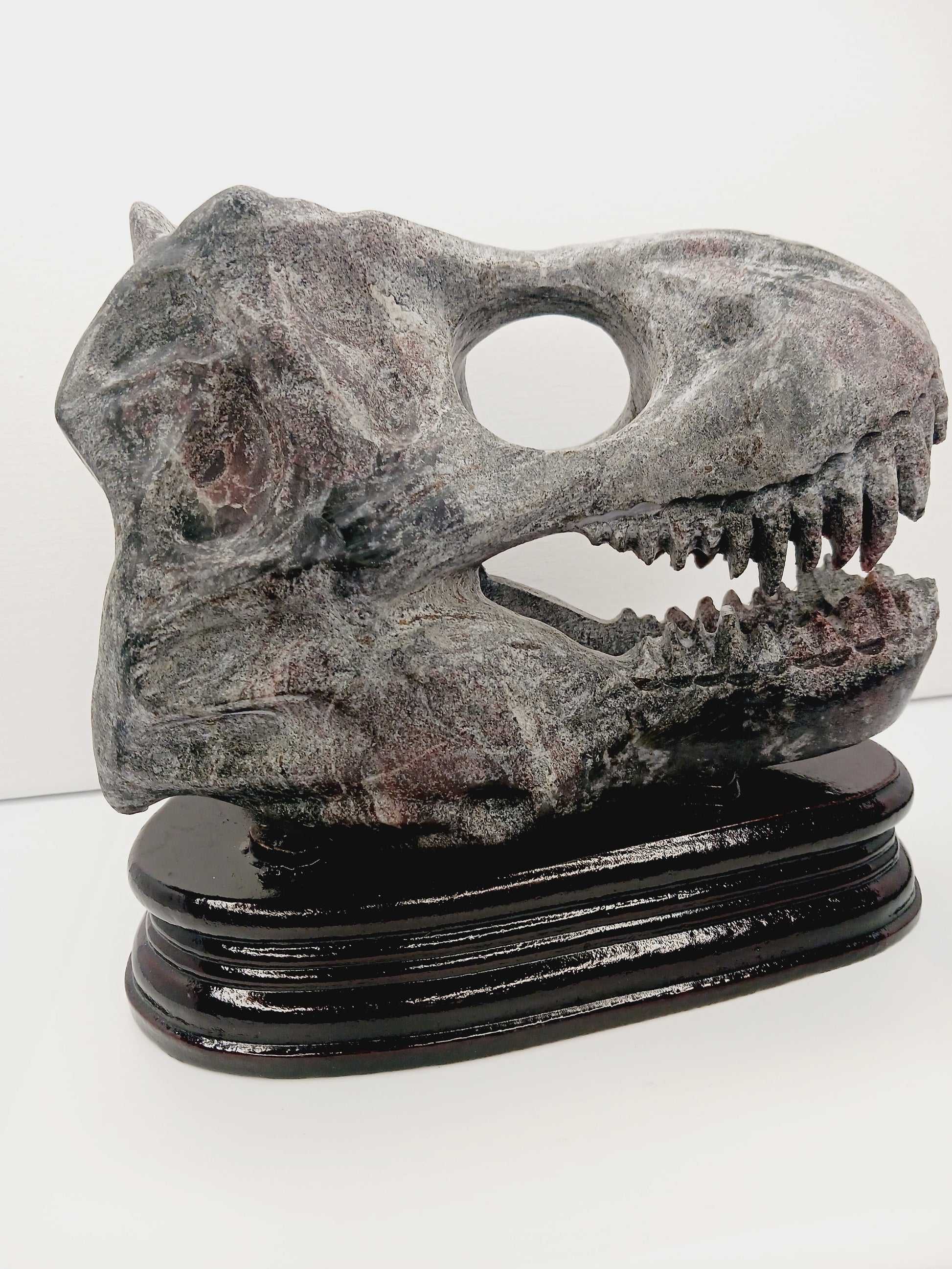 🦖❤️ Garnet Dinosaur Skull on Wood Stand – Ancient Power and Vitality ✨ - Carvings