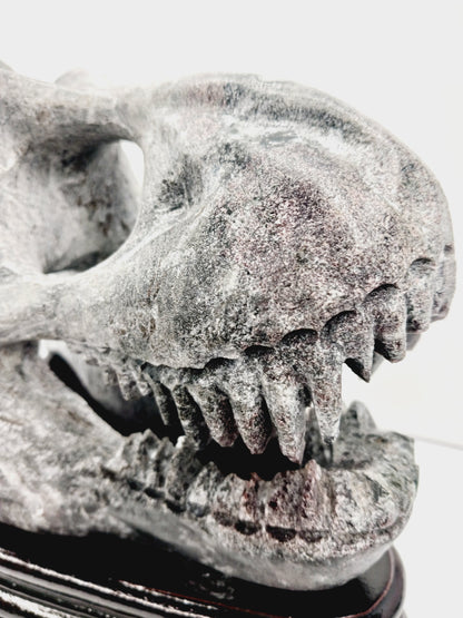 🦖❤️ Garnet Dinosaur Skull on Wood Stand – Ancient Power and Vitality ✨ - Carvings