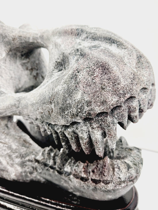 🦖❤️ Garnet Dinosaur Skull on Wood Stand – Ancient Power and Vitality ✨ - Carvings