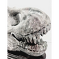 🦖❤️ Garnet Dinosaur Skull on Wood Stand – Ancient Power and Vitality ✨ - Carvings
