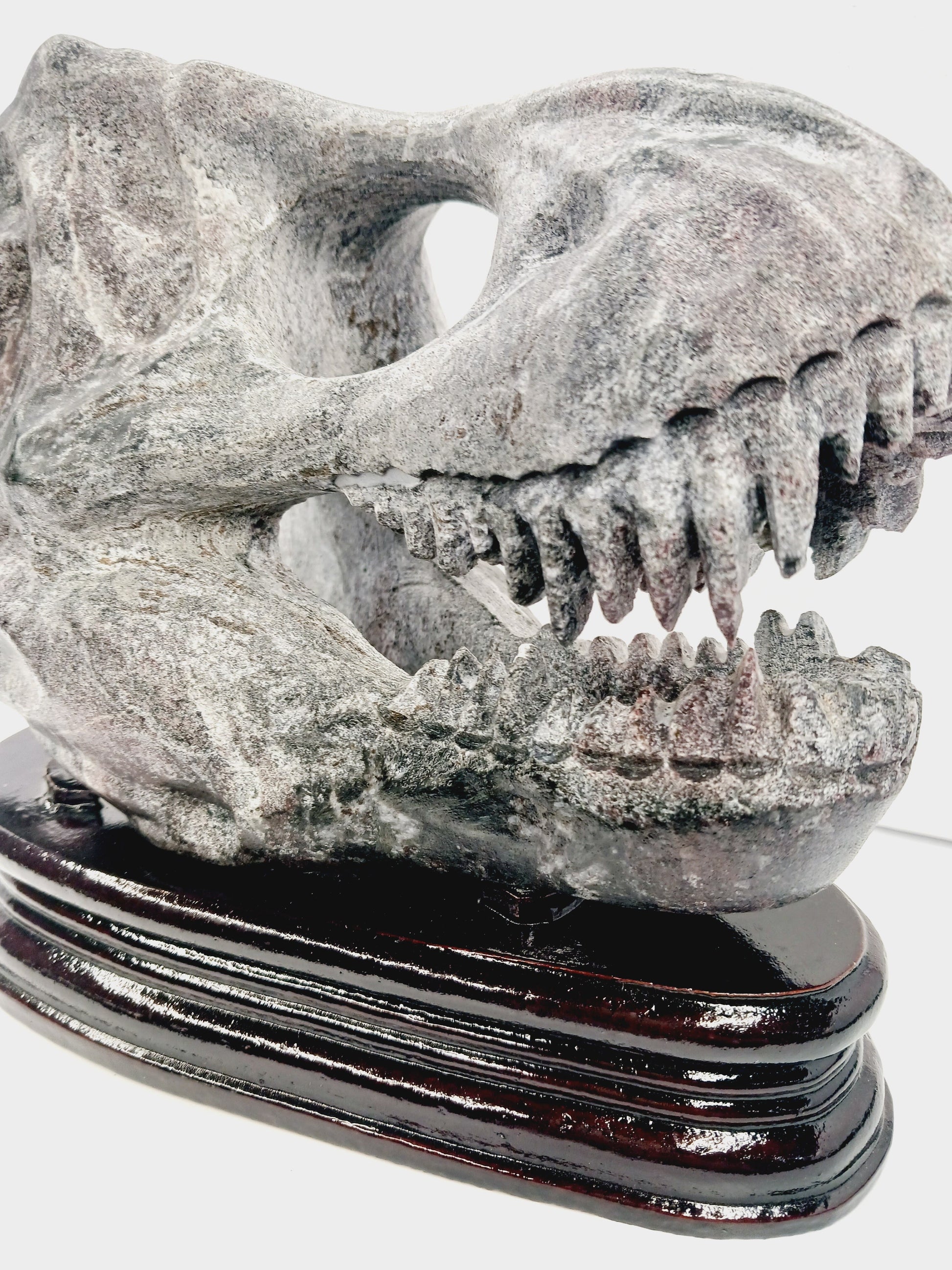 🦖❤️ Garnet Dinosaur Skull on Wood Stand – Ancient Power and Vitality ✨ - Carvings