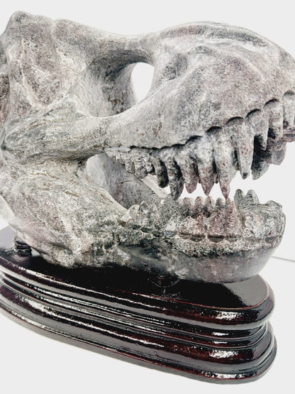 🦖❤️ Garnet Dinosaur Skull on Wood Stand – Ancient Power and Vitality ✨ - Carvings