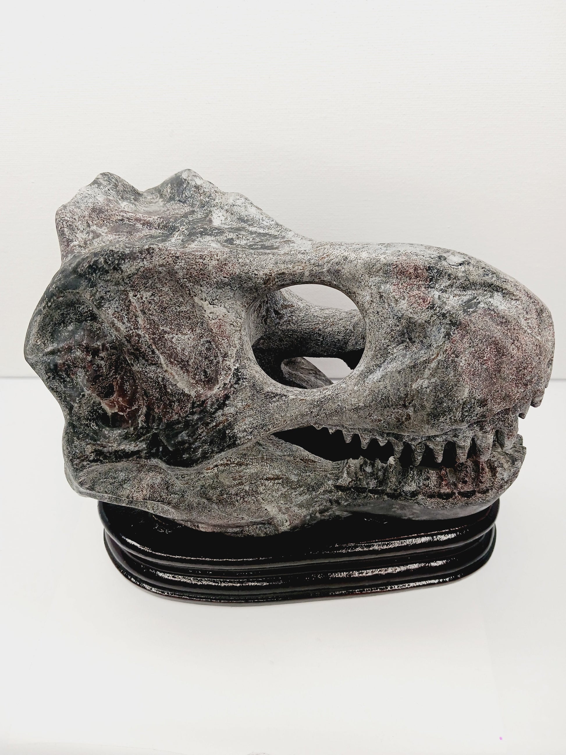 🦖❤️ Garnet Dinosaur Skull on Wood Stand – Ancient Power and Vitality ✨ - Carvings