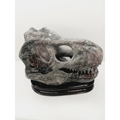 🦖❤️ Garnet Dinosaur Skull on Wood Stand – Ancient Power and Vitality ✨ - Carvings