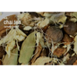 Herbal Bulk Loose Tea by the Ounce - Chai Tea - Teas & Accessories