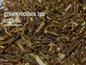 Herbal Bulk Loose Tea by the Ounce - Green Roobios - Teas & Accessories