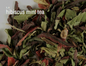 Herbal Bulk Loose Tea by the Ounce - HIbisucs Mint Tea - Teas & Accessories