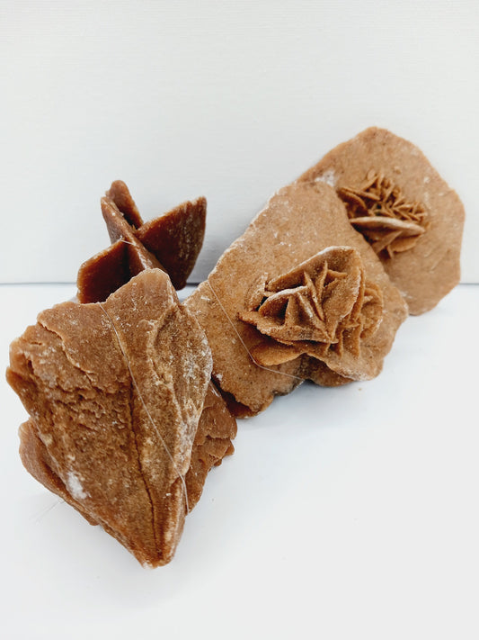 🏜️✨HUGE Desert Rose Specimen – Clarity Confidence and Spiritual Growth 🌟 - Specimens
