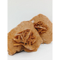 🏜️✨HUGE Desert Rose Specimen – Clarity Confidence and Spiritual Growth 🌟 - 02. Medium - Specimens