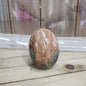Ibis Madagascar Jasper - 1 - PALM