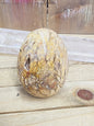 Ibis Madagascar Jasper - 9 - PALM