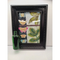 🖤🌱 Inspiring Propagation Frame with Bottle – Growth Positivity and Daily Motivation ✨ - Dreams Don’t Work Unless