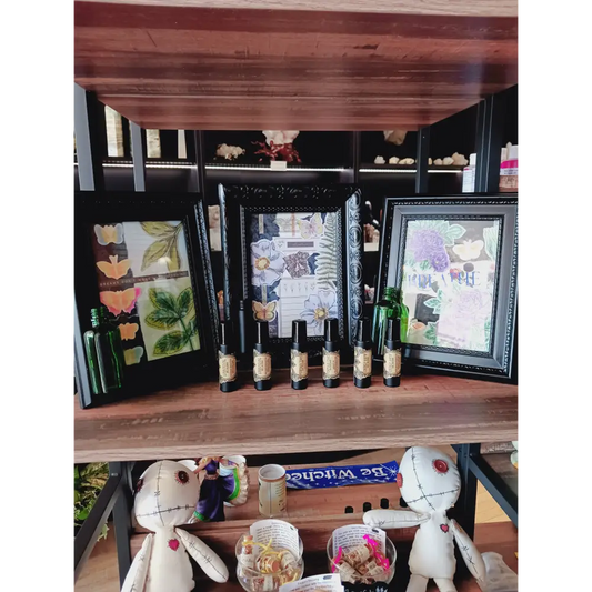 🖤🌱 Inspiring Propagation Frame with Bottle – Growth Positivity and Daily Motivation ✨