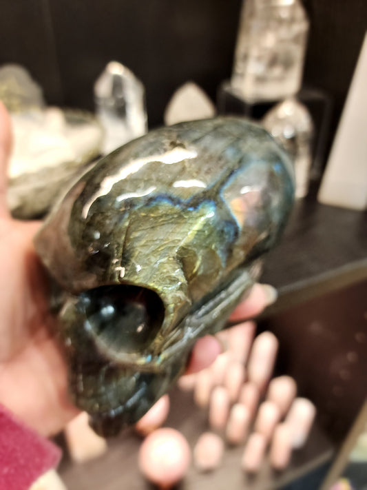 👽💜 Labradorite Alien Skull with Purple Flash – 7’’ Long 4’’ Tall – Cosmic Mystique & Intuitive Power! 🌌 - Carvings