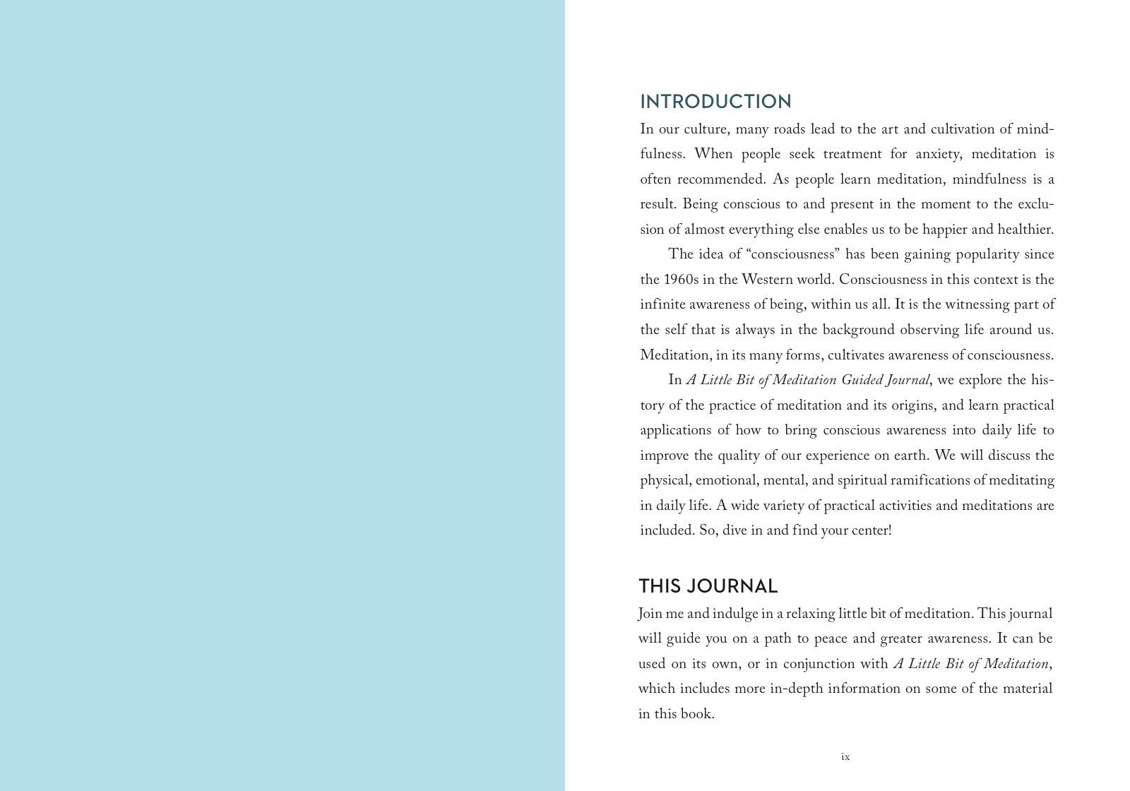 Little Bit of Meditation Guided Journal - Tarot Decks & Divination