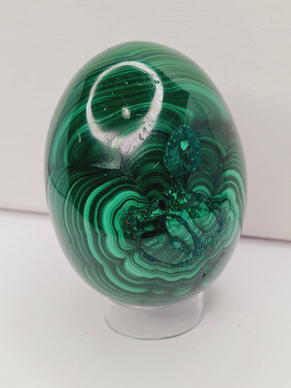 💚🥚 Malachite Egg – Transformative Beauty Growth and Heart Healing! ✨ - 3 1/8’’ Egg - Spheres